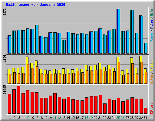 Daily usage for January 2020