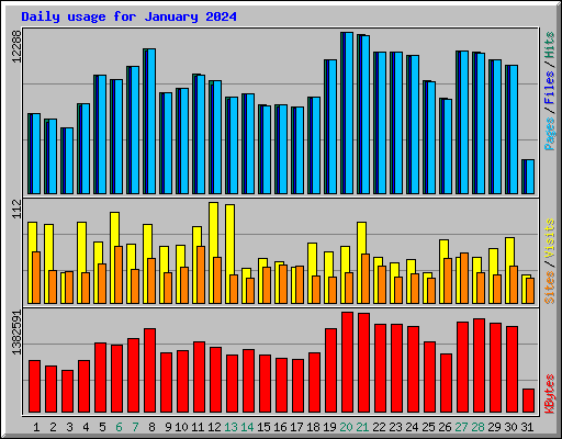Daily usage for January 2024