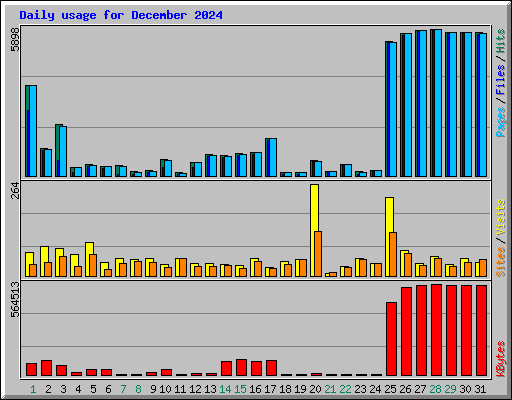 Daily usage for December 2024