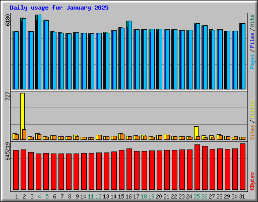 Daily usage for January 2025
