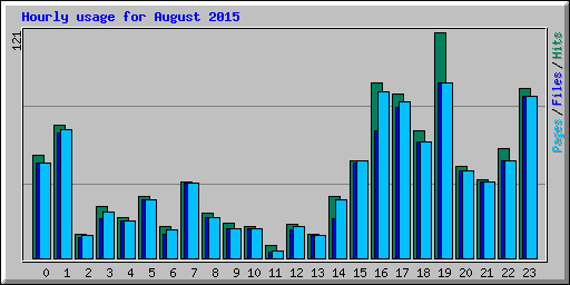 Hourly usage for August 2015