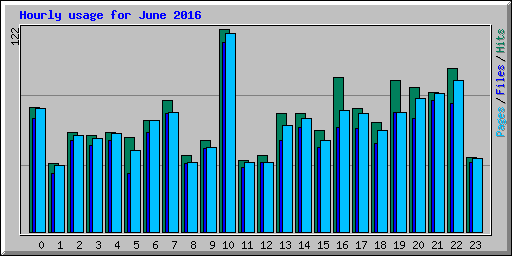 Hourly usage for June 2016