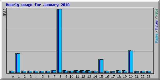 Hourly usage for January 2019
