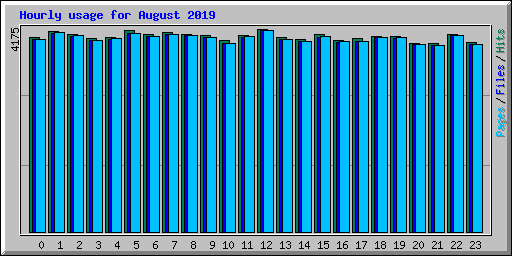 Hourly usage for August 2019