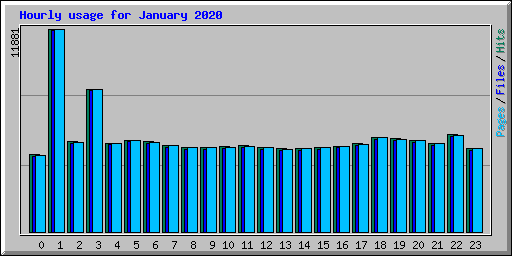 Hourly usage for January 2020