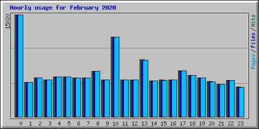 Hourly usage for February 2020