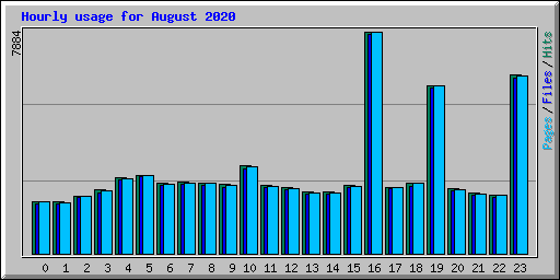 Hourly usage for August 2020