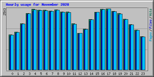 Hourly usage for November 2020