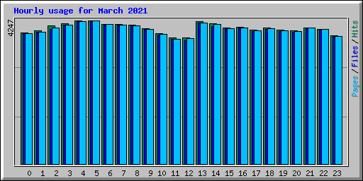 Hourly usage for March 2021