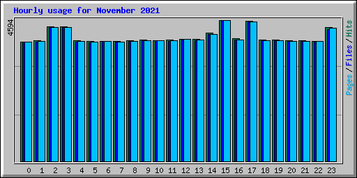 Hourly usage for November 2021