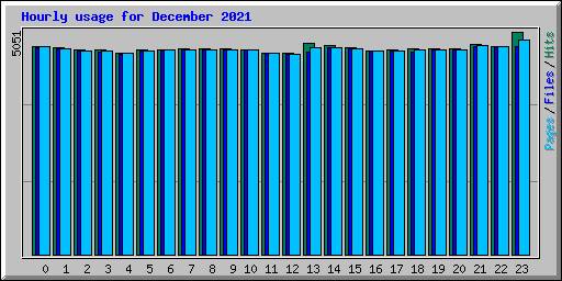 Hourly usage for December 2021