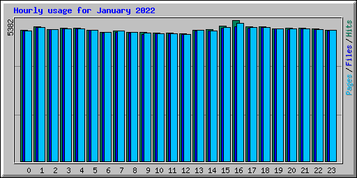Hourly usage for January 2022