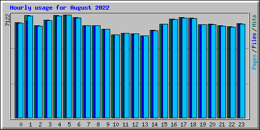Hourly usage for August 2022