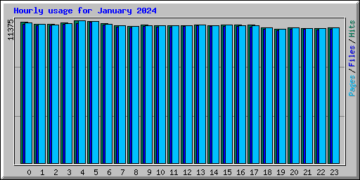 Hourly usage for January 2024