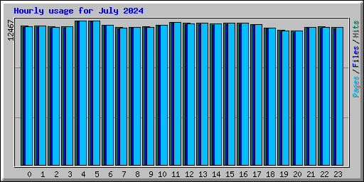 Hourly usage for July 2024