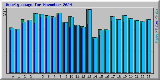 Hourly usage for November 2024