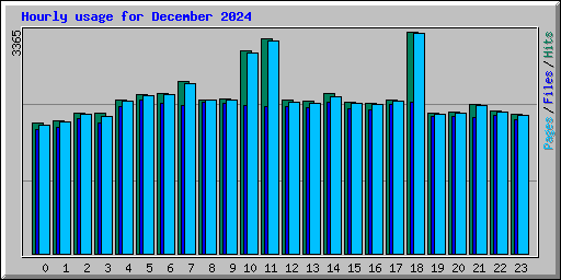 Hourly usage for December 2024