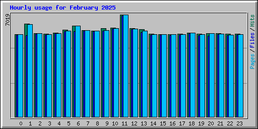 Hourly usage for February 2025