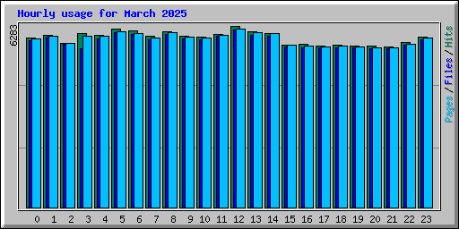 Hourly usage for March 2025