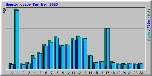 Hourly usage for May 2025