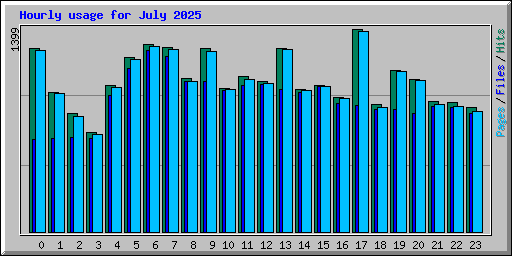 Hourly usage for July 2025