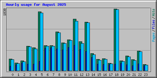 Hourly usage for August 2025