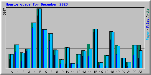 Hourly usage for December 2025