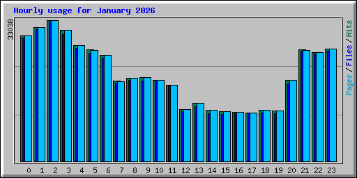 Hourly usage for January 2026